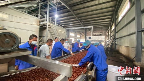 百國(guó)華僑華人走進(jìn)云南臨滄 感受創(chuàng)新進(jìn)步 開放包容大美邊疆