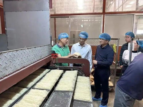 時(shí)隔20年, 燕子 牌排粉正式回歸 江門外海 似曾相識 燕 歸來