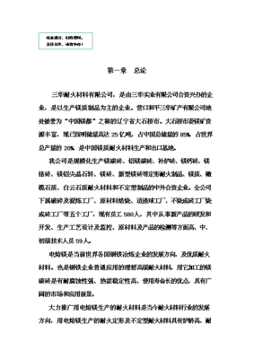 (終稿)電熔鎂生產(chǎn)線新建項目備案立項報告.doc(OK版)