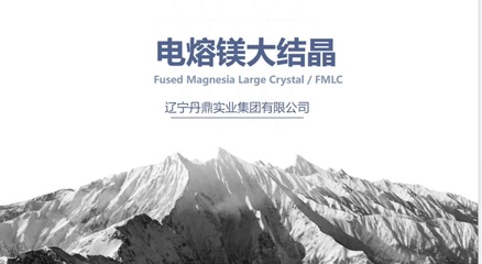 遼寧丹鼎實業集團